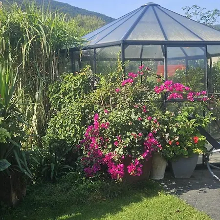 Lägenhet Ahrfair Im Kraeutergarten *