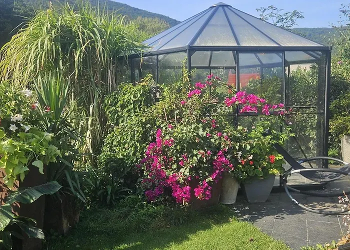 公寓 Ahrfair Im Kraeutergarten *