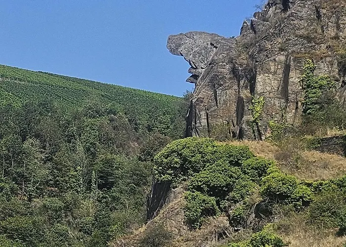 Ahrfair Im Kraeutergarten * 巴特诺因阿尔-阿尔韦勒