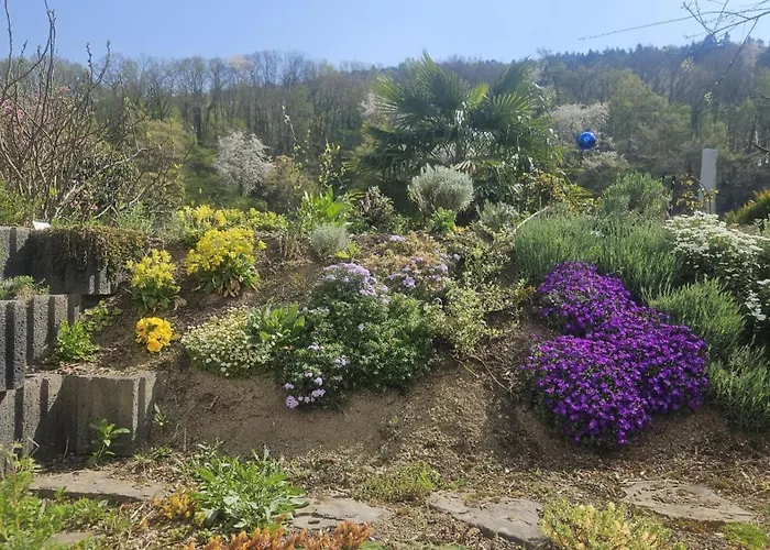 公寓 Ahrfair Im Kraeutergarten 巴特诺因阿尔-阿尔韦勒